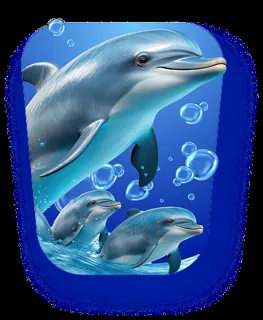 Dolphin Reef by Monkey King
